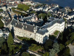 Vista del Castillo de Blois
